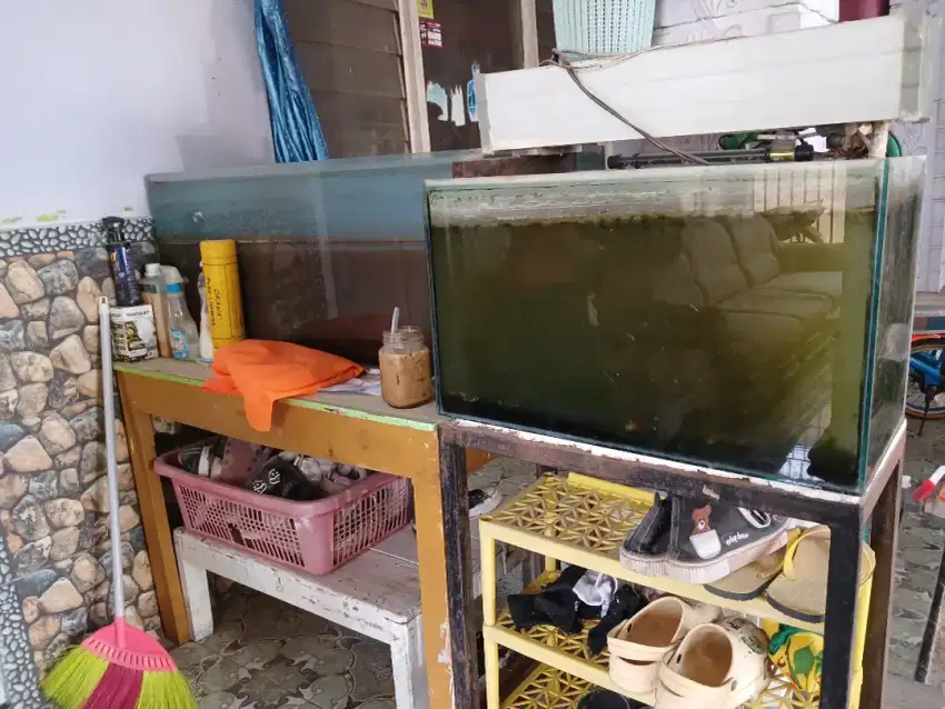 Aquarium ada 2 set monggo yg minat