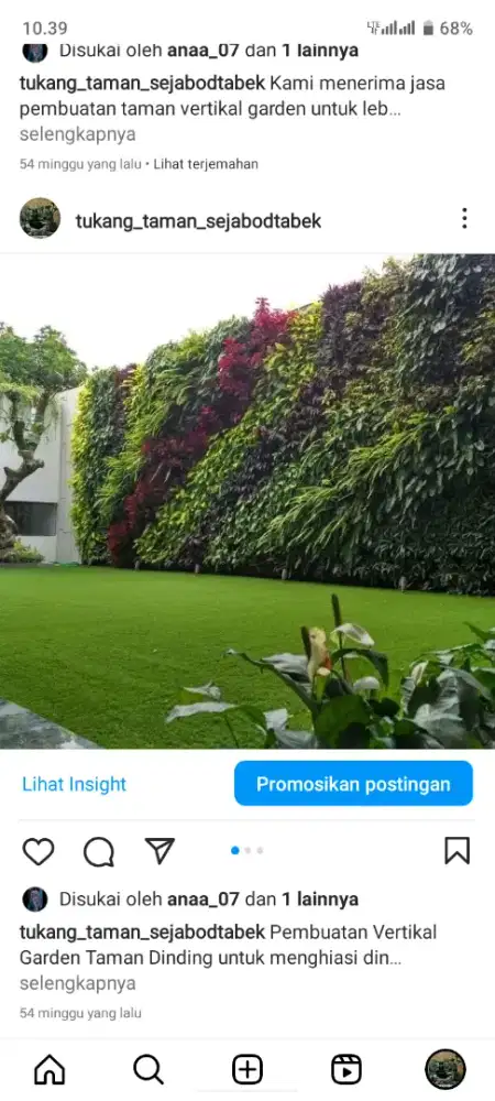 Pembuatan taman vertikal garden/tukang taman hias/tukang taman
