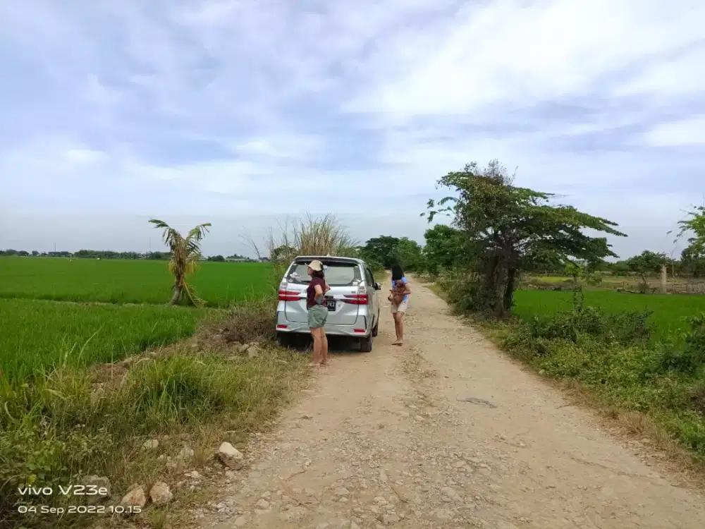 DiJual Cepat Tanah Sawah Pinggir jalan di Karawang Barat