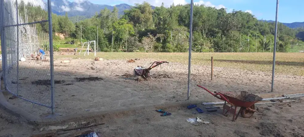 Rumput manila ,Rumput Taman area pomala