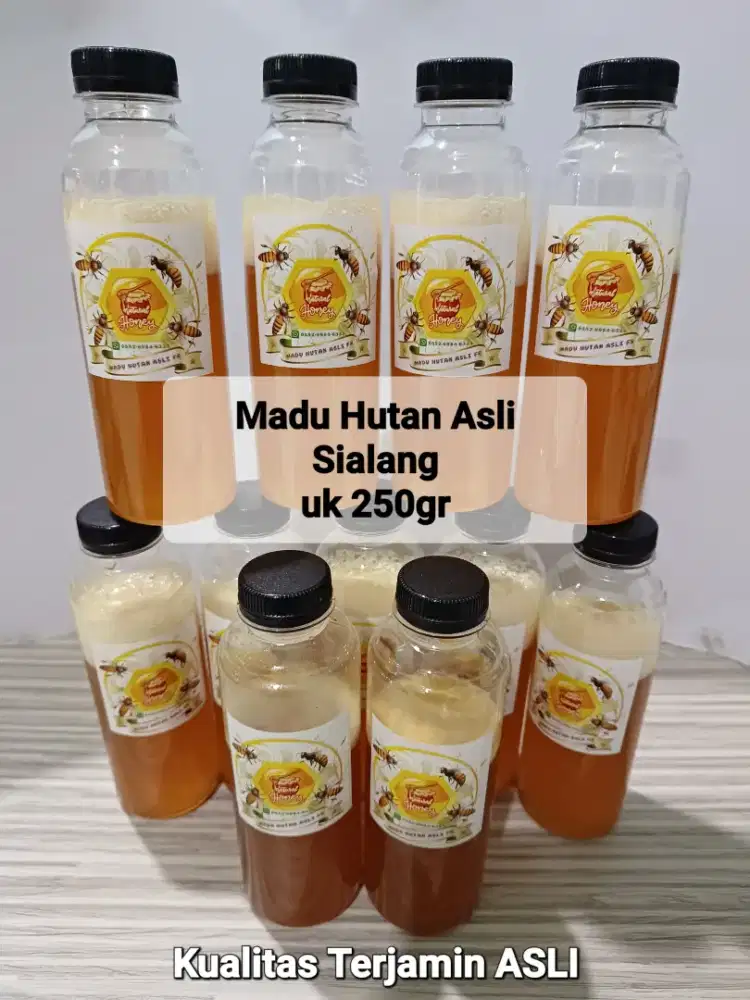 Madu Hutan Asli Sialang
