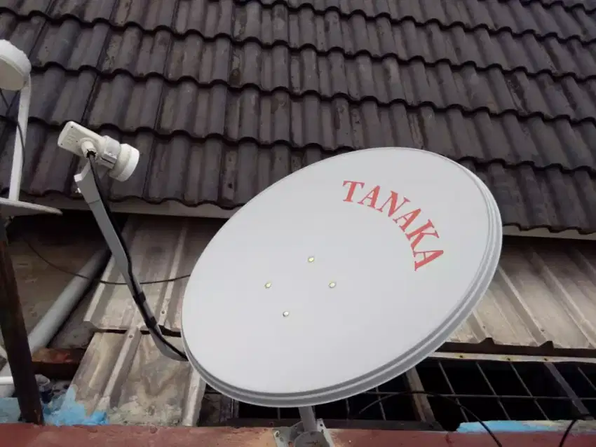 Antena parabola mini nex parabola gratis tanpa iuran bulanan