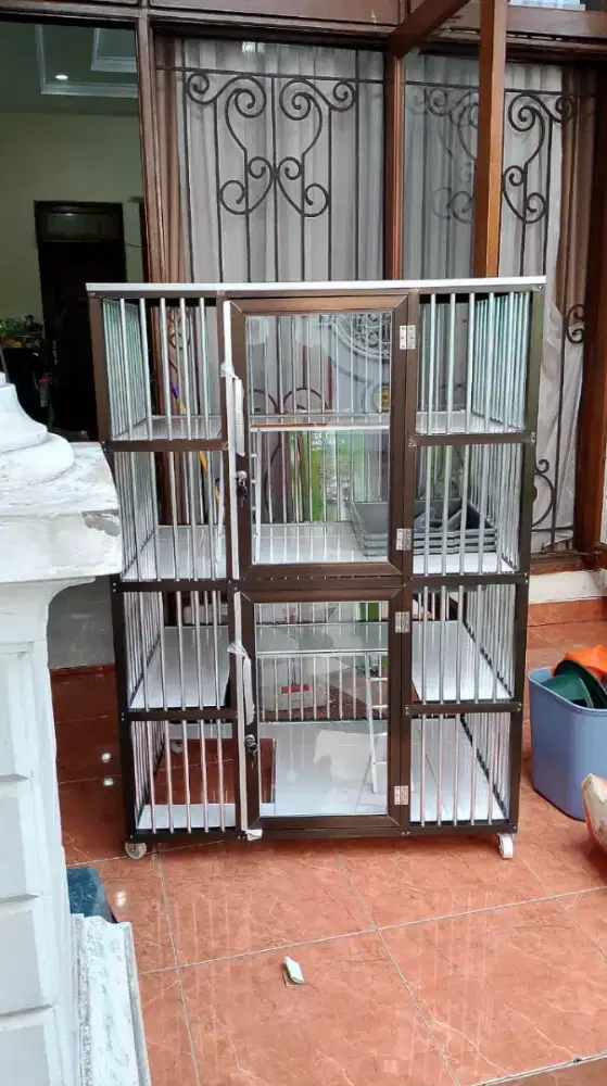 Kandang kucing Kemayoran 4