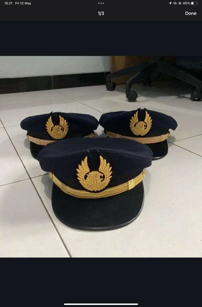 Topi pet pilot airlines