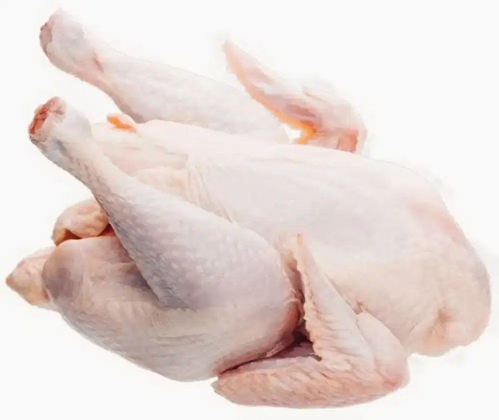 Ayam daging - potong - boiler - karkas - murah -fresh - segar