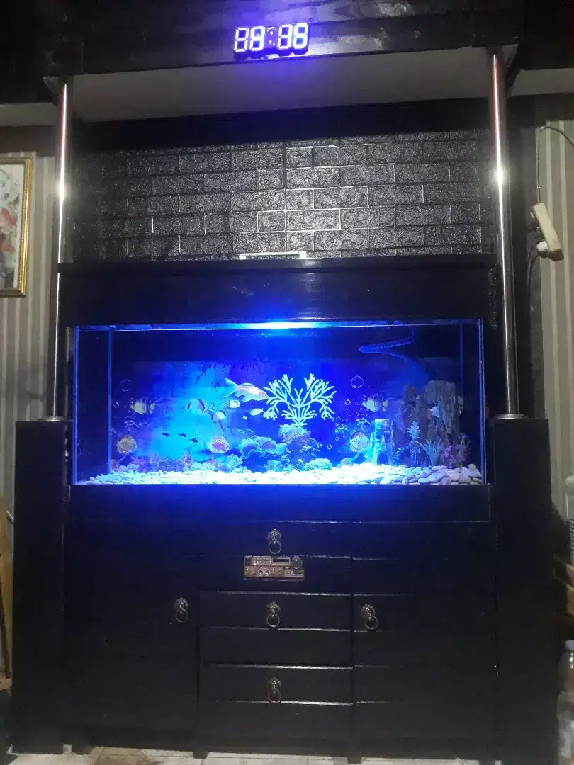 MEJA AQUARIUM PLUS AUDIO