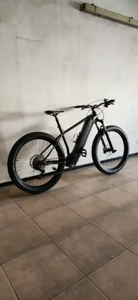 E bike online polygon