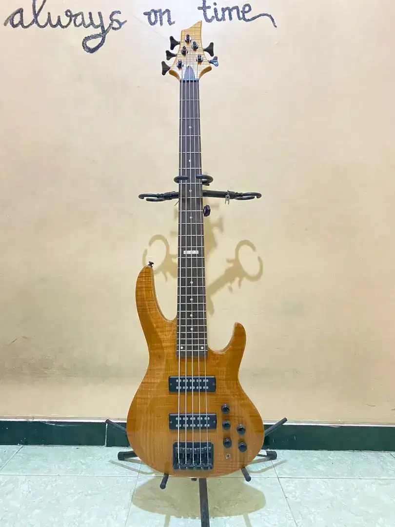 Bass elektrik pasif aktif custom