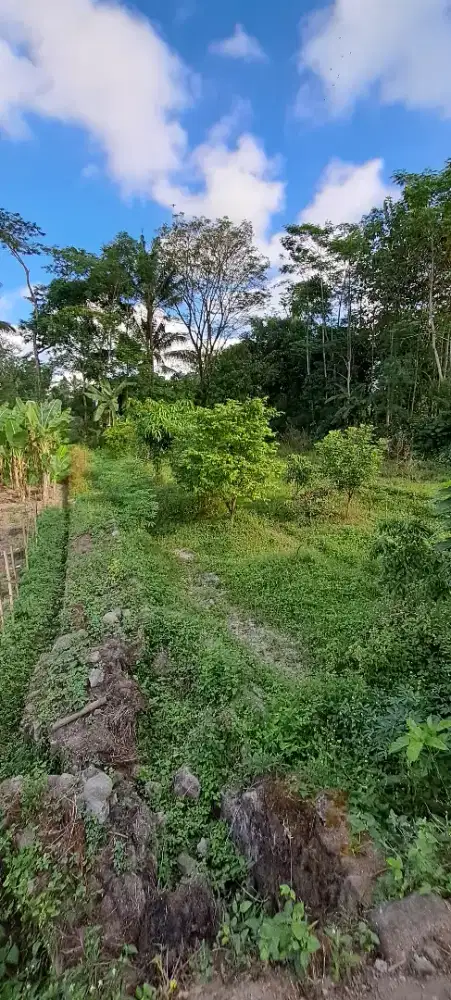 Dijual tanah 345m2 lokasi dekat kampus Respati dan Budi Mulia
