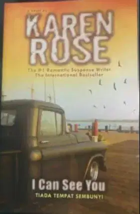 I can see you (tiada tempat sembunyi) novel terjemahan
