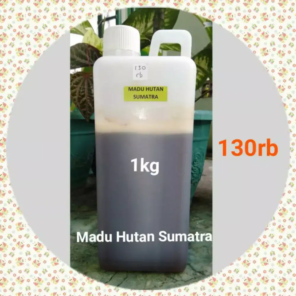 Madu Hutan Sumatra