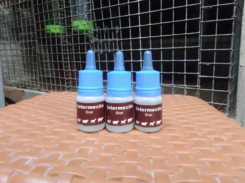 Obat jamur penyakit kulit kelinci,anjing dan kucing