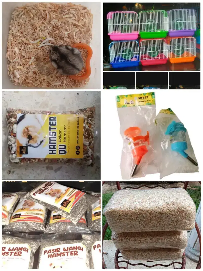 Paket Hamster ( Winter White, Kandang, Makan, Botol, Pasir, Serbuk )