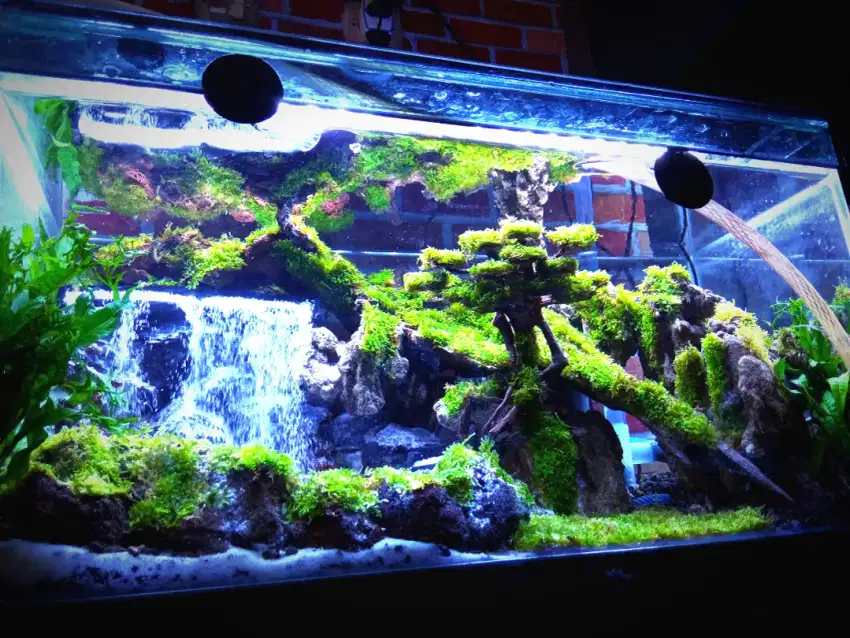 Aquascape Waterfall Open Order 60x30x35 Spec JoZzz