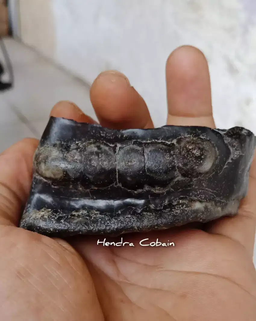 Natural Batu Cincin gigipetir Antik