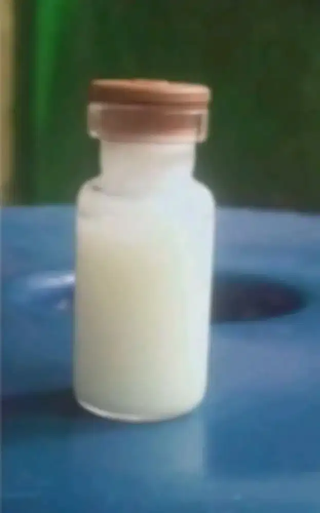 minyak silin(panasilin)obat tradisional ampuh menghilangkan luka