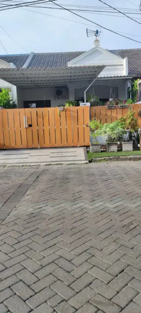 Hunia bagus di Perum Kosagrha