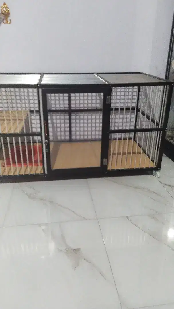 Kandang Kucing peaknose