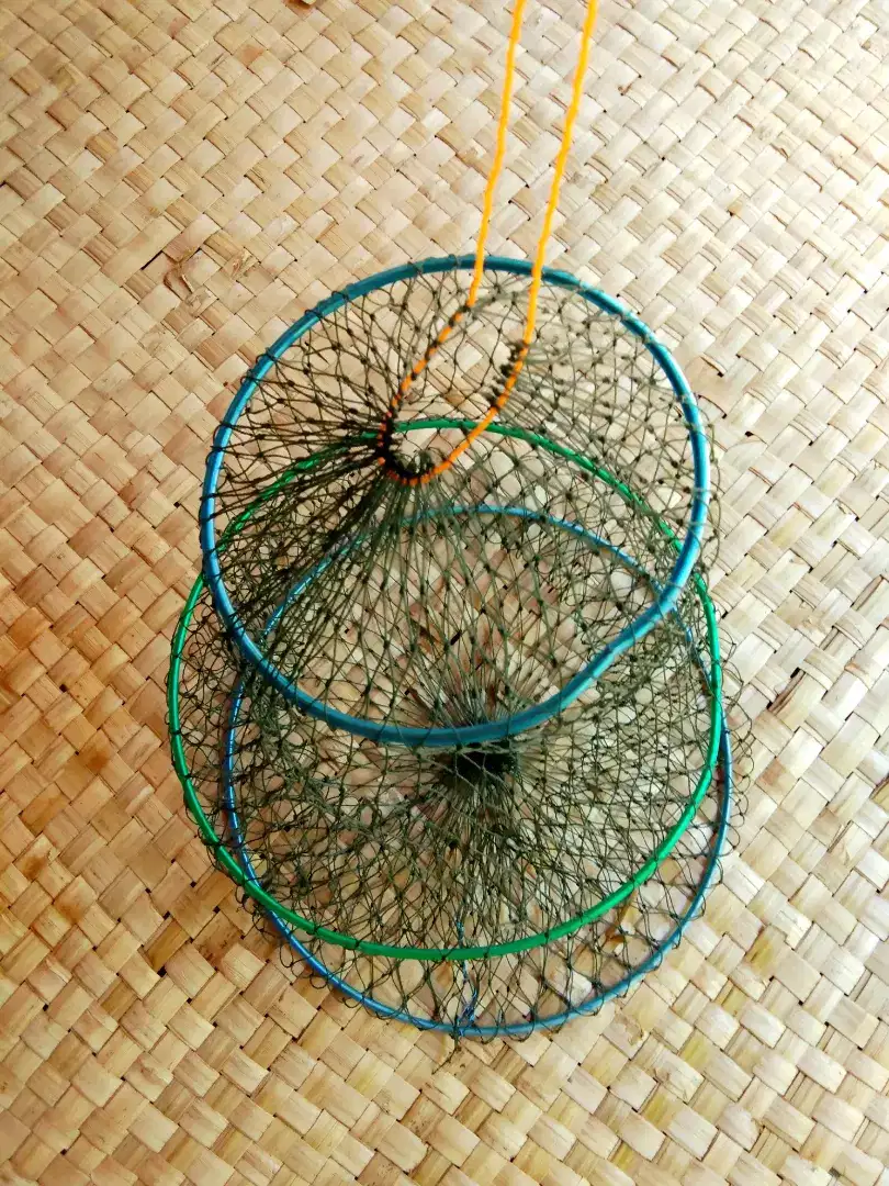 Tempat Ikan Untuk menaruh ikan