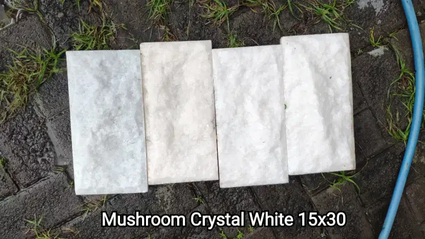 Batu Quartzite (untuk dekorasi tampak depan rumah)