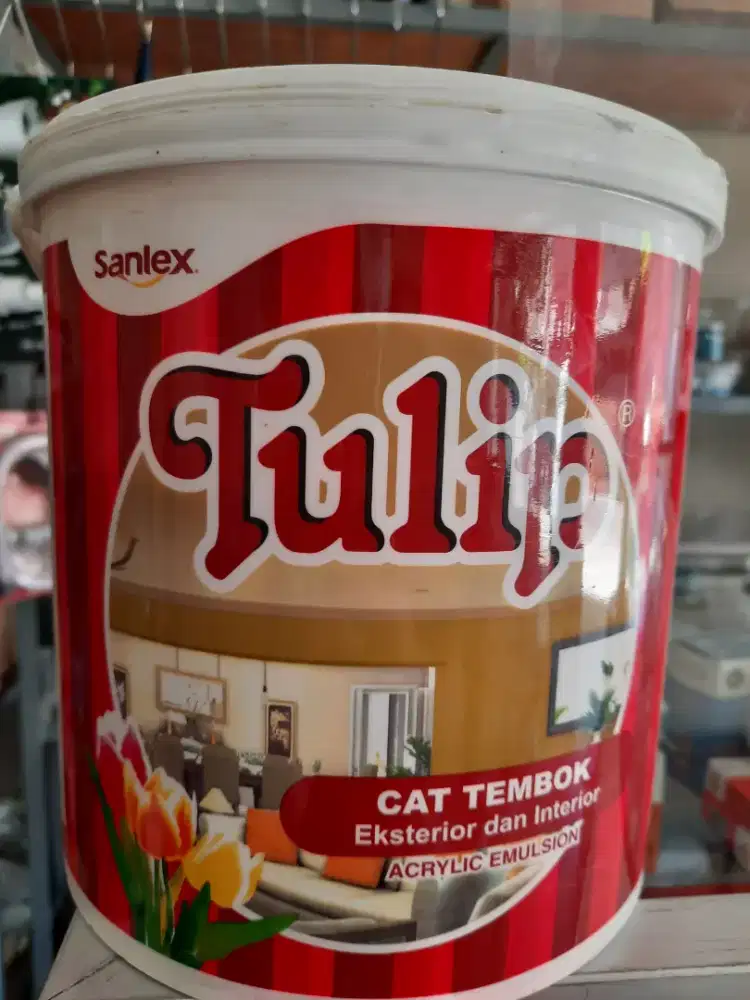Tulip Cat tembok 4.5kg