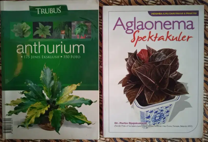 Buku Tanaman Hias Anturium Trubus, Aglaonema Spektakuler Mulus