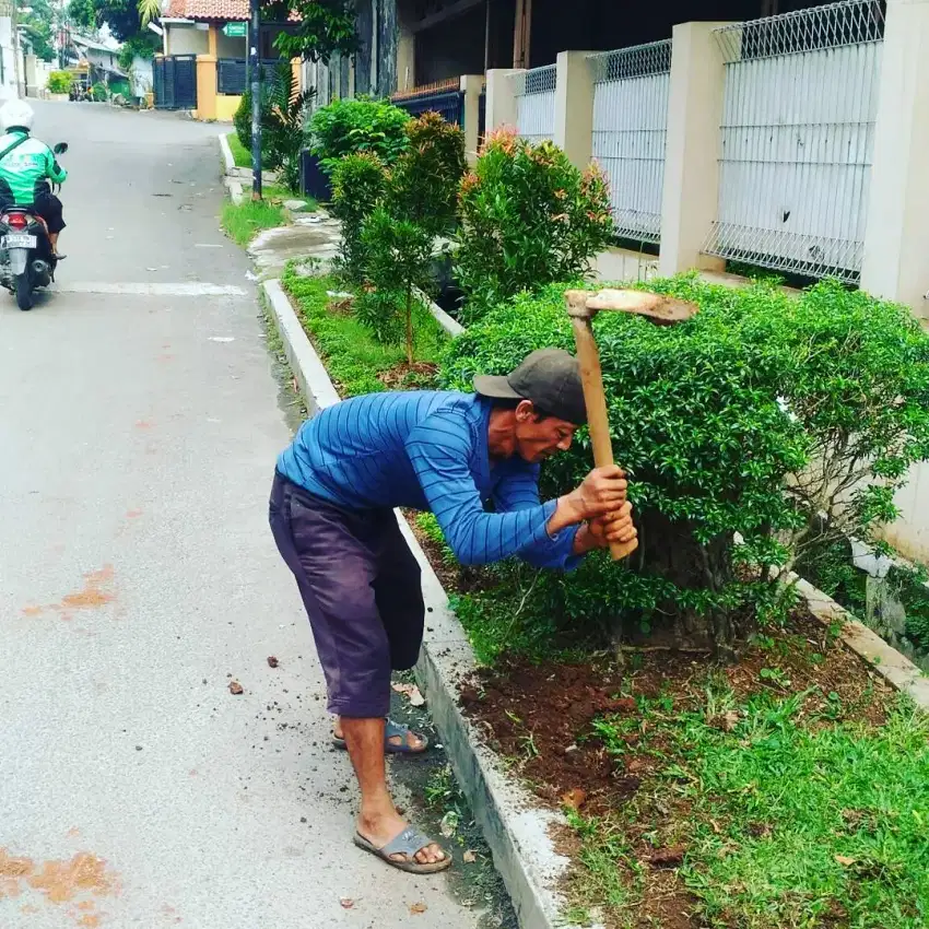 Perawatan taman termurah di Jakarta