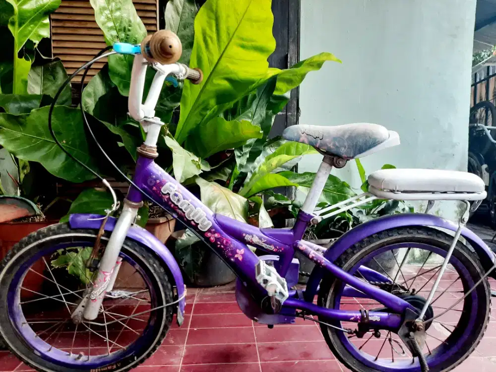 Sepeda anak  Family  size 16