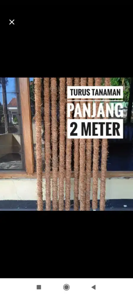 Taman turus rambatan tanaman hias rambat panjang 2 meter pipa paralon
