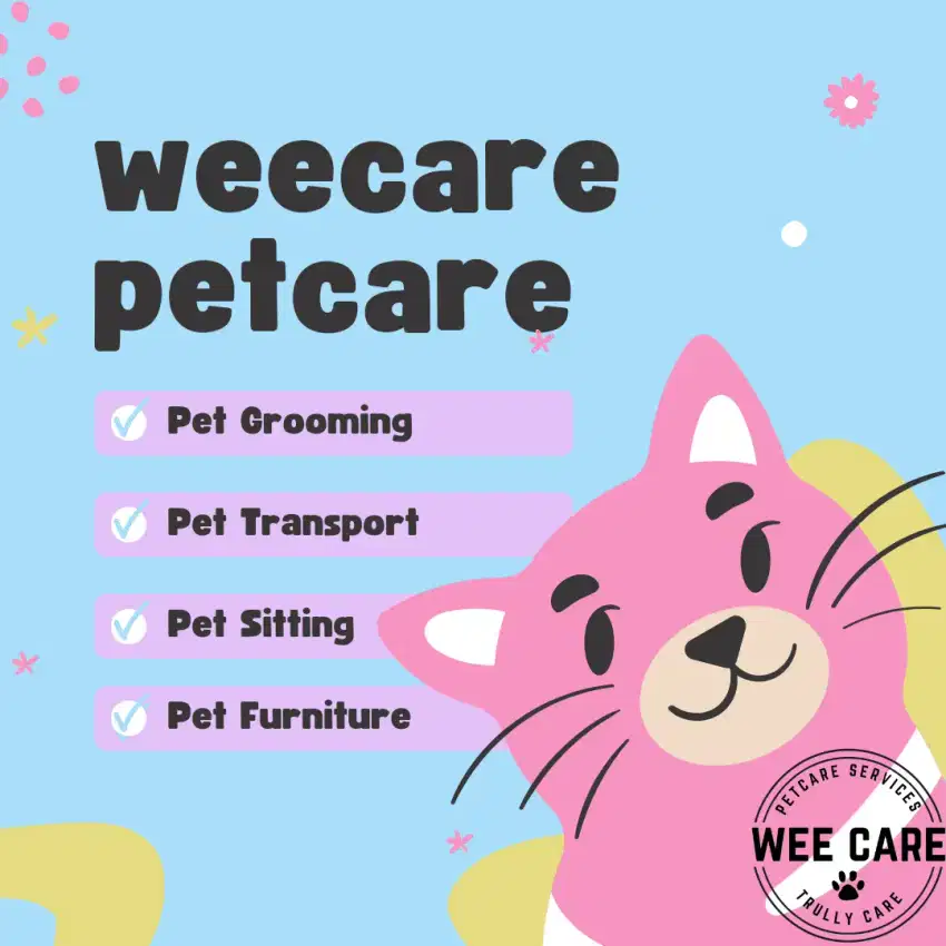 Grooming - Salon Kucing - Perawatan Kucing Homecare