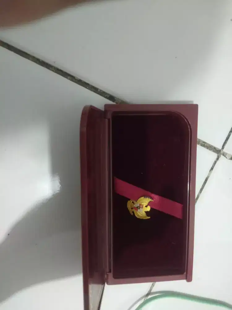 pin gambar burung garuda