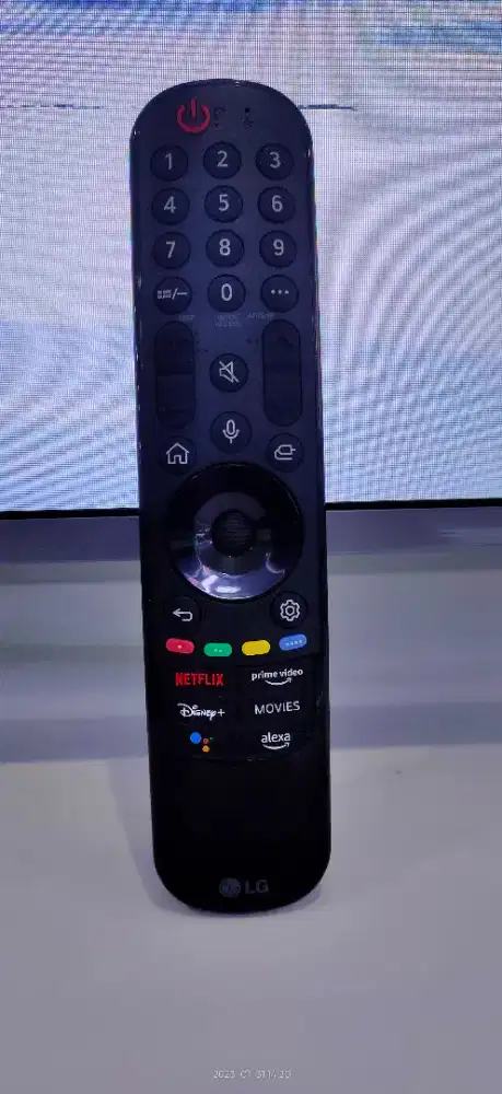 Remote LG ANMR 24