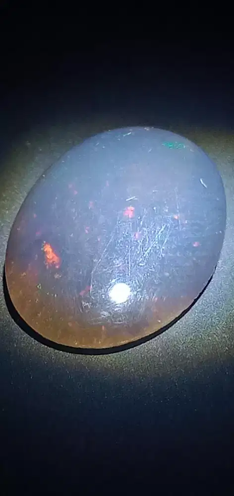 Black oval ( 141103 )