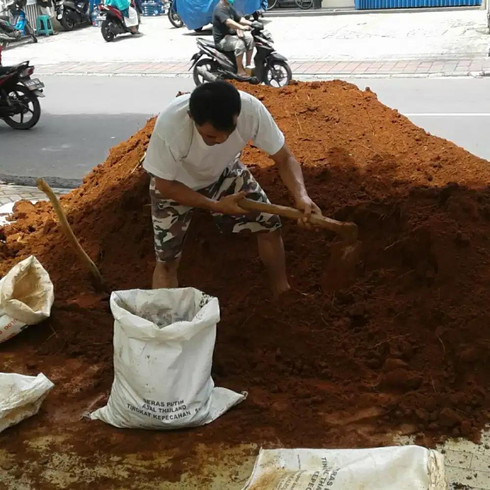 Tanah karungan yg minat