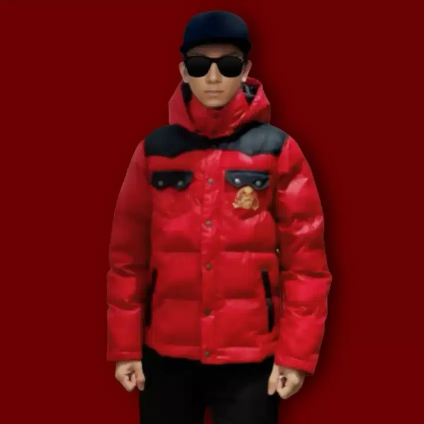 Jacket Import Jepang Original Body Wave model Goose Down Jaket TNF