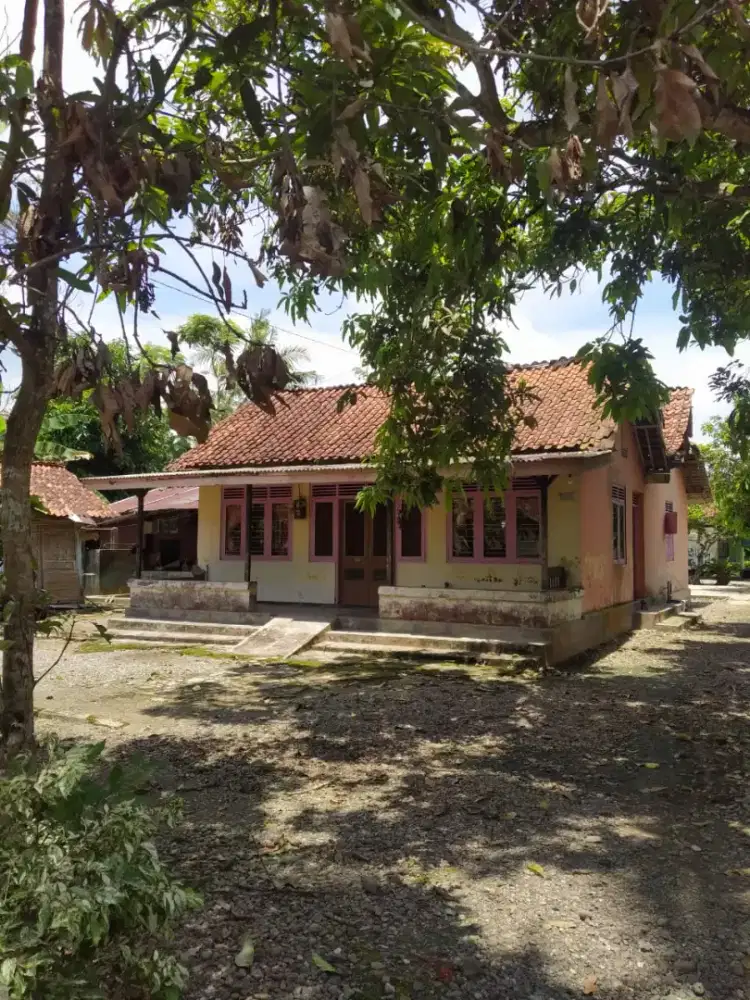 Tanah 1000m2 SHM di Sruweng, Kebumen Dekat Jalan Provinsi, Akses Mobil