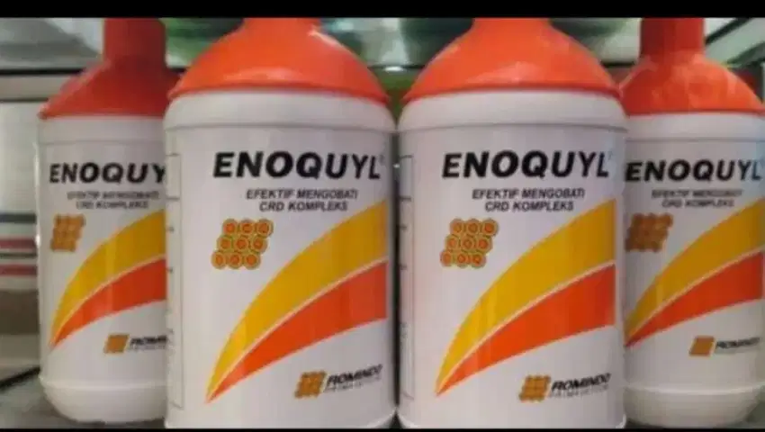 Enoquyl mengobati CRD kompleks untuk Unggas