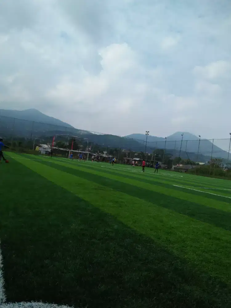 Rumput sintetis, mini soccer, interlock, vinyl batminton