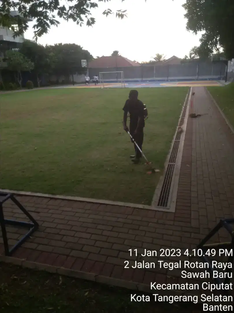 Menerima perawatan taman dan kebersihan kebun