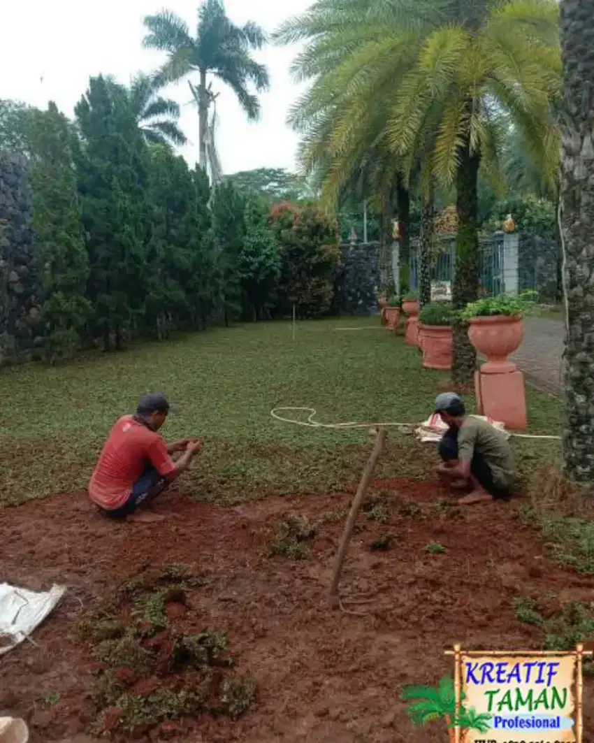 Tukang rumput Cilegon/tukang taman Cilegon