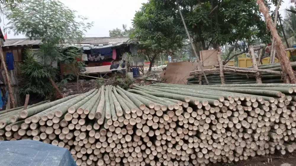 Jual bambu kaso dan triplek