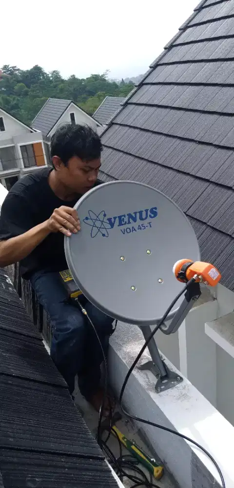 Antena Zaman Now  MOLA TV Nex Parabola