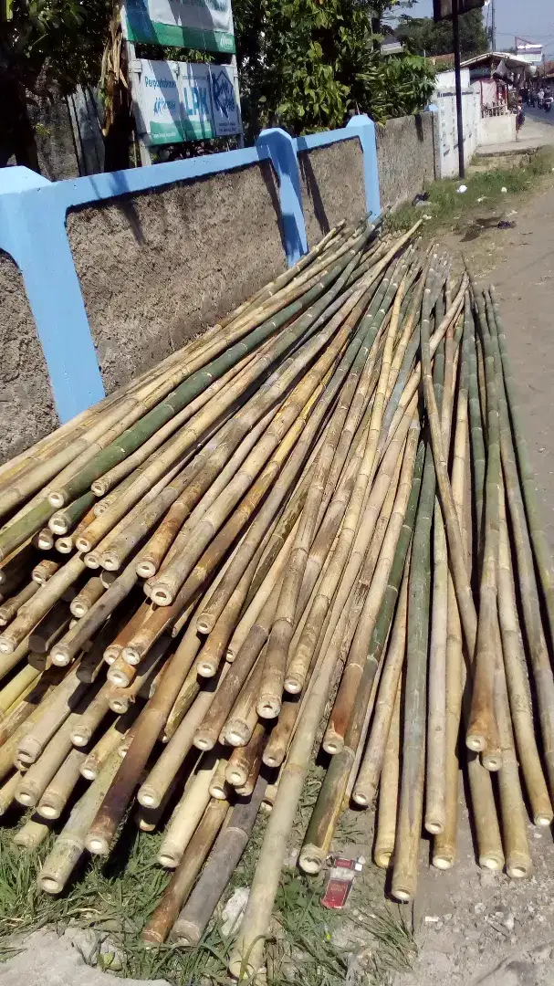 Jual bambu buat umbul umbul dan tihang bendera