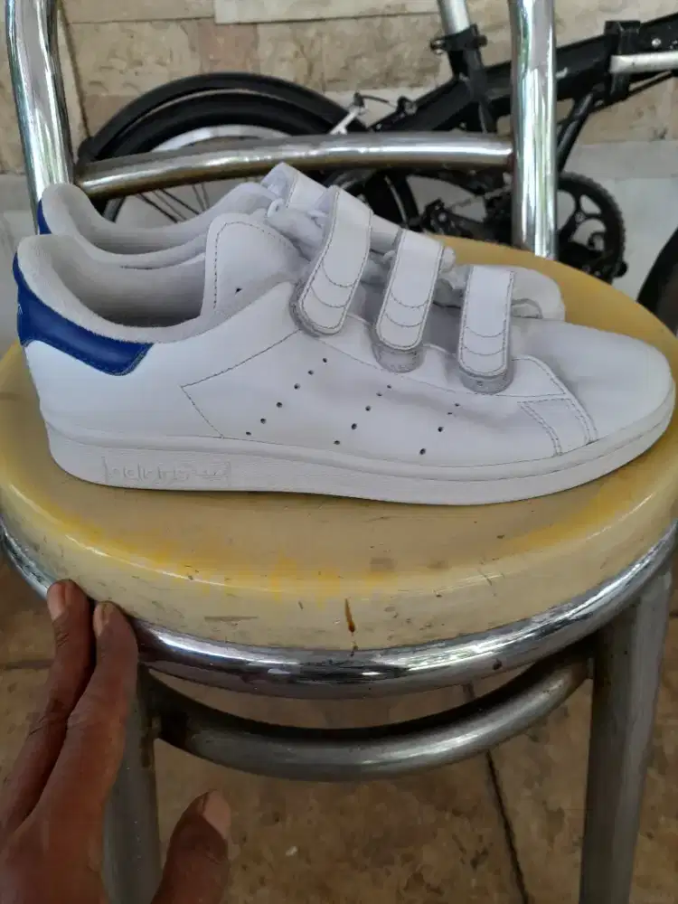 Adidas Stansmith S.Vector