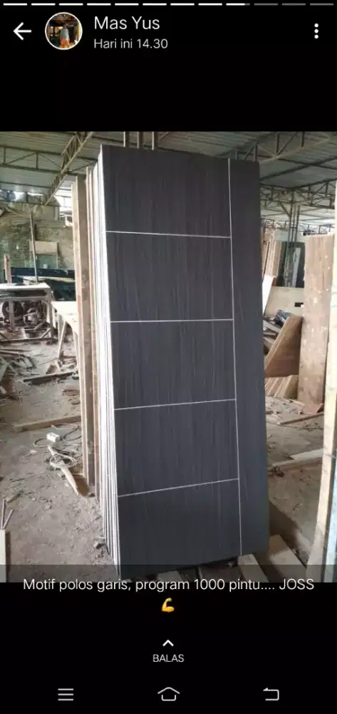 Daun pintu minimaliss