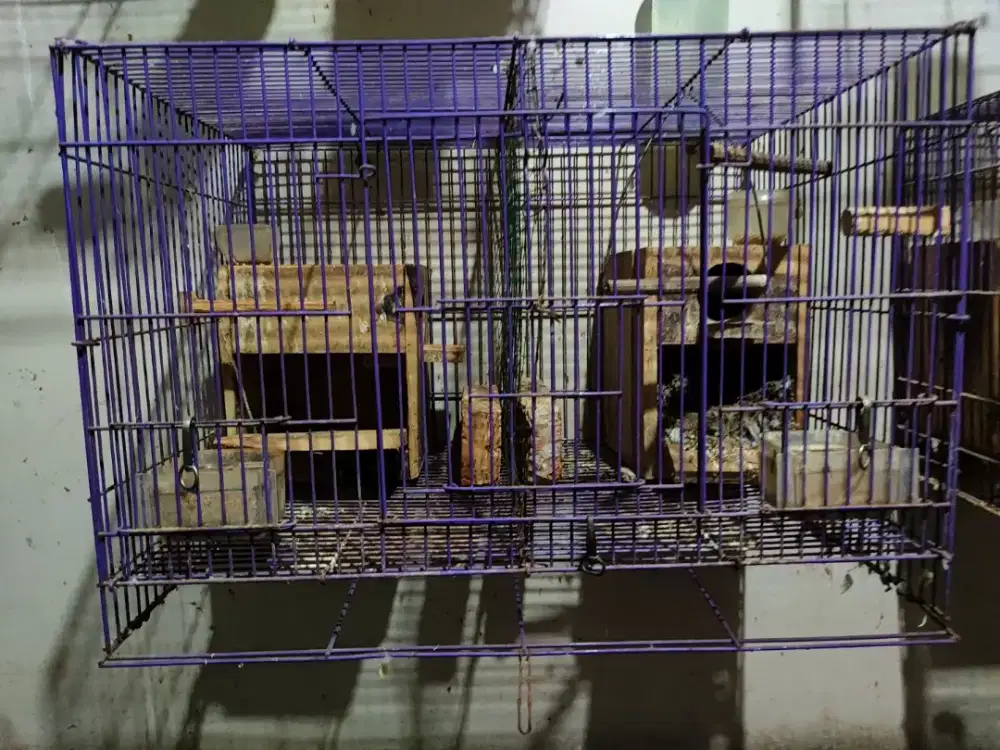 Kandang Ternak Plus Glodok bersekat