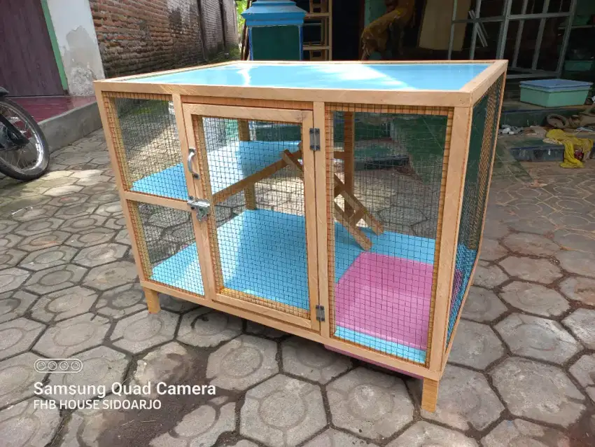 Kandang kucing persia bahan kayu SBY