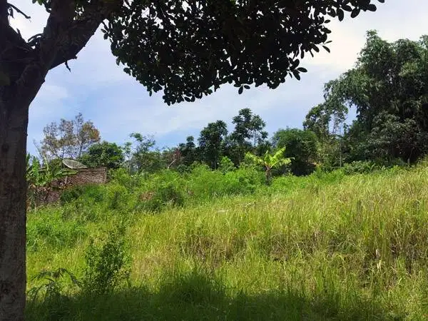 Kavling Siap Bangun Di Pasirwangi Babakan Batawi Cigending Ujung Berun