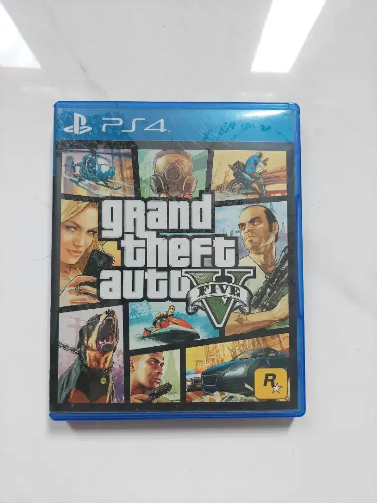 Grand Theft Auto V (5)