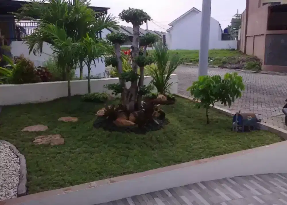 tukang batu sikat, ampyangan, taman, kolam, Surabaya, Sidoarjo, Gresik